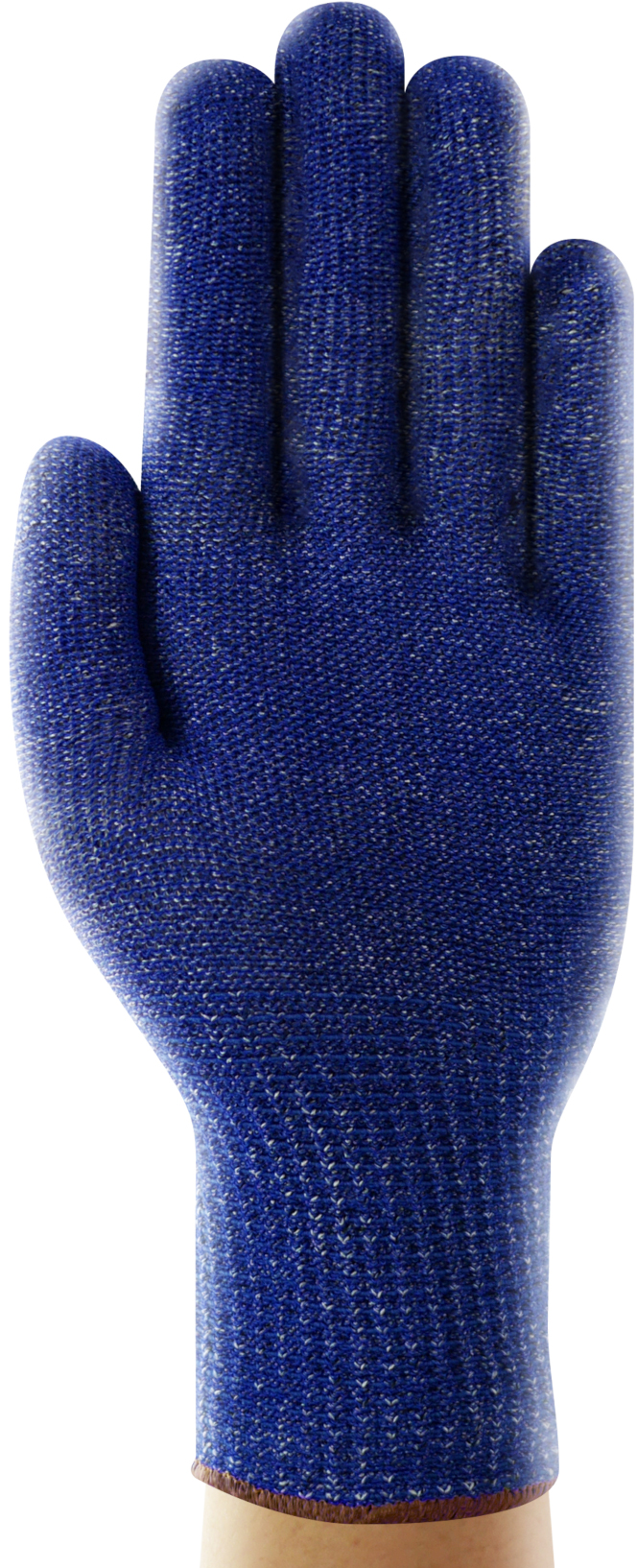 72400-backqKNVmWlJ2TyKQ