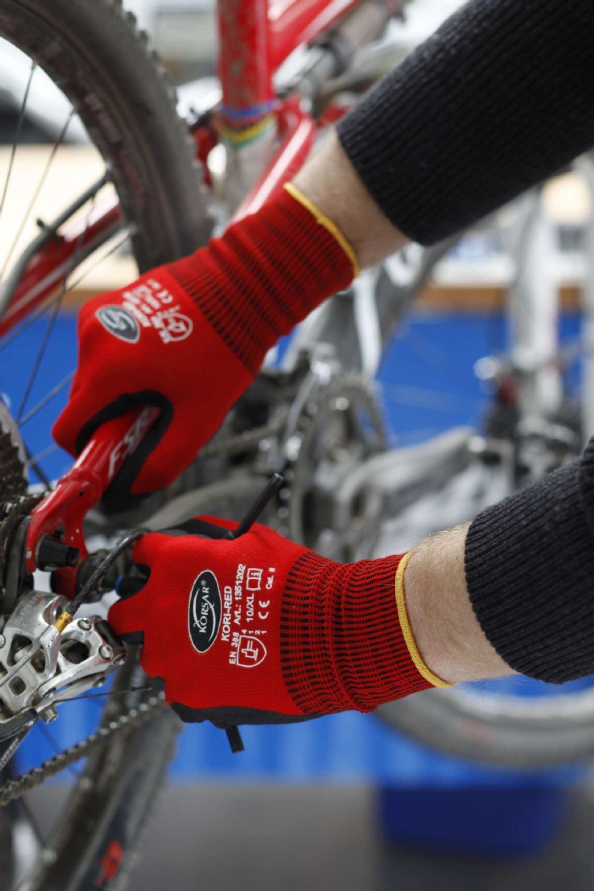 100_18205w7FYSIOAWv4wt