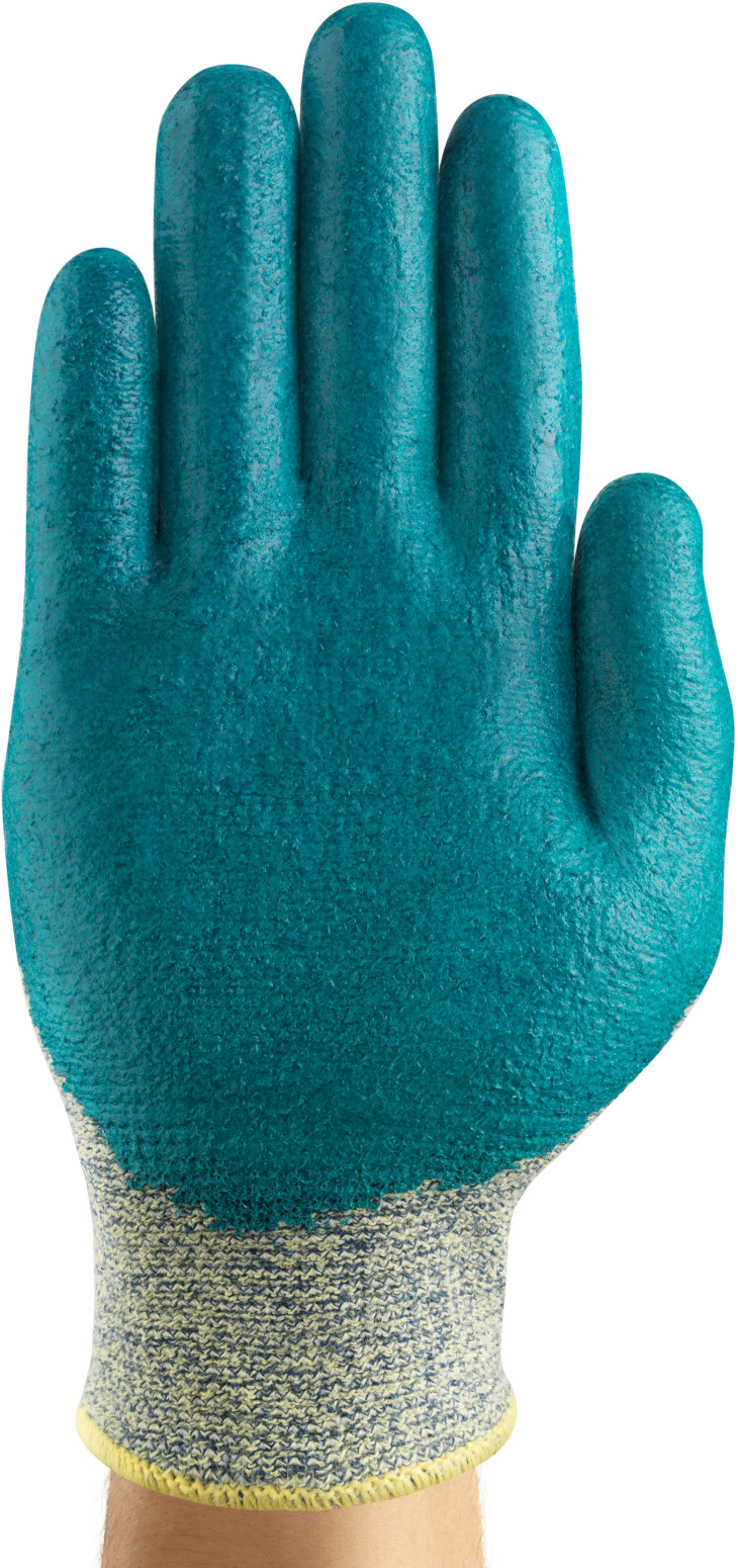 HyFlex-11-501_Back_White