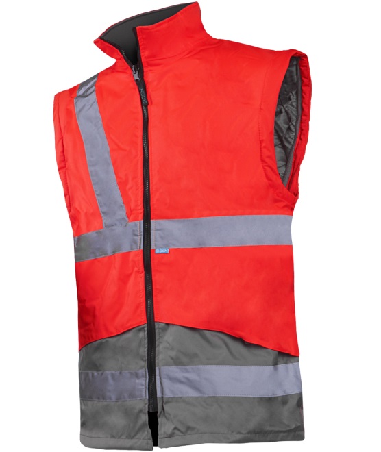 209A_717_N2_X93_SLE100