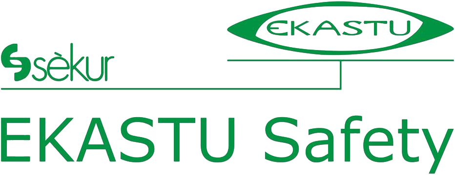 EKASTUSafetyLogo Ekastu safety helmet P4