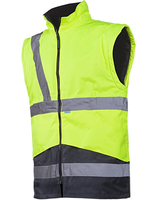 209A_065_N2_X93_SLE100