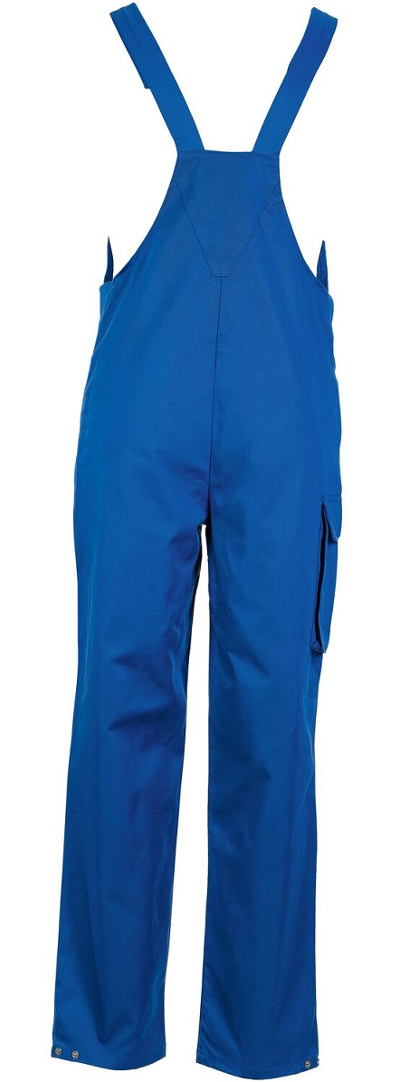 Food_5345_360_hinten