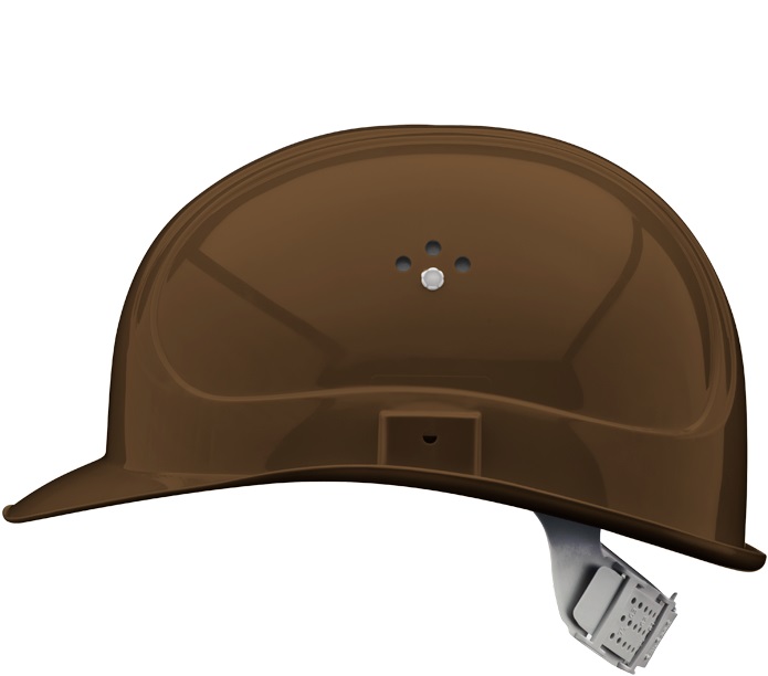 inap-master-4braun-3