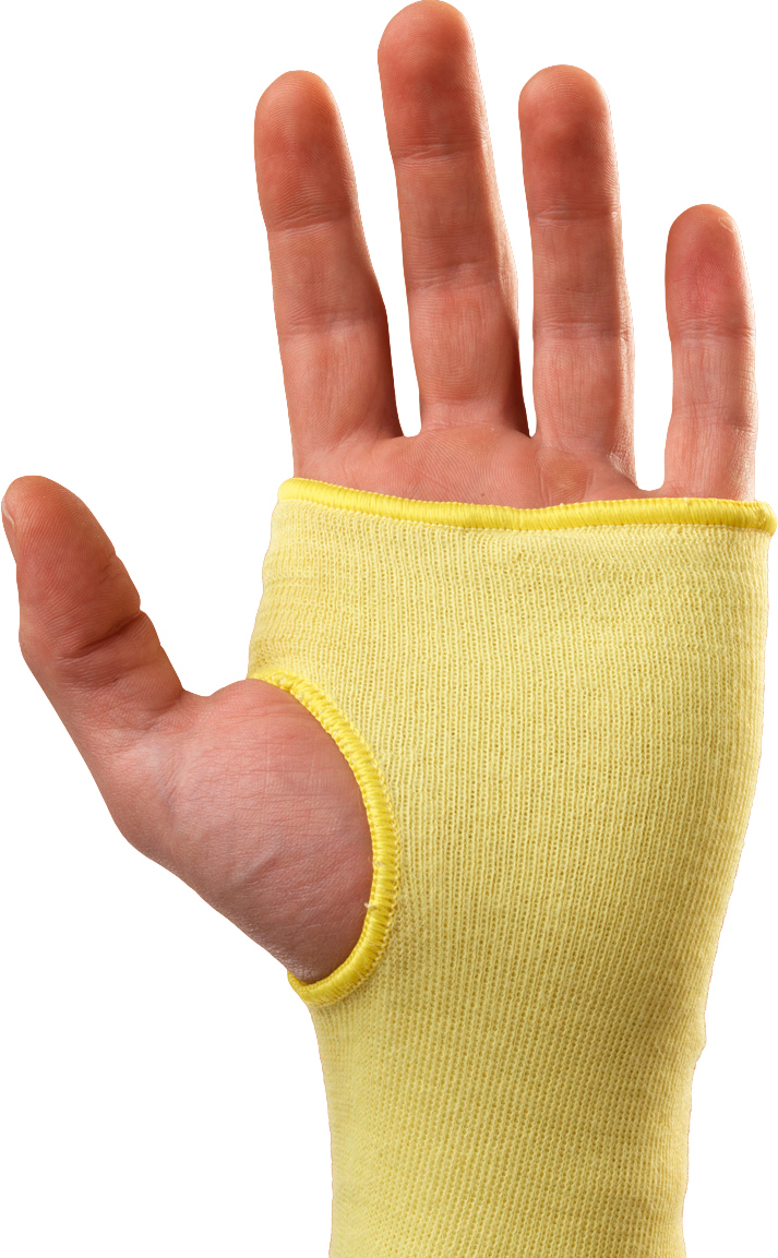 INGL6166-70-123-Palm