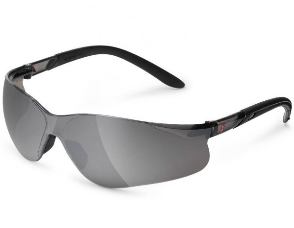 Nitras 9013 Vision Protect Schutzbrille grau